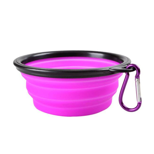 Colorful Pet Bowl